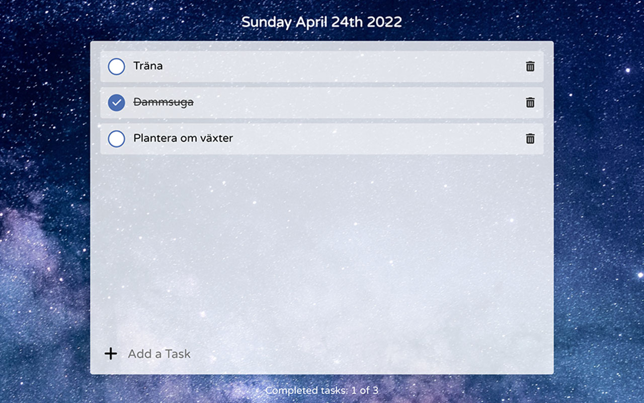 project screenshot